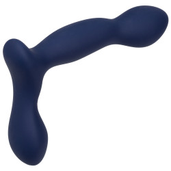 CalExotics Viceroy Stimulateur de prostate Expert Probe Viceroy 10 x 2.5cm